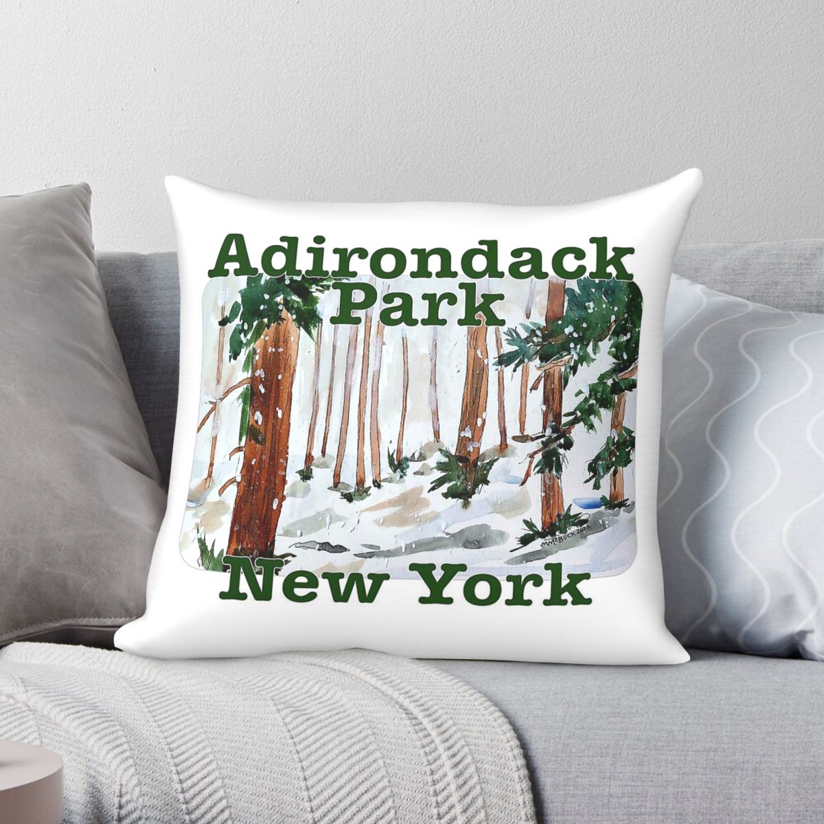 Adirondack Park New York Pillo - Home Decor New York recension och pris