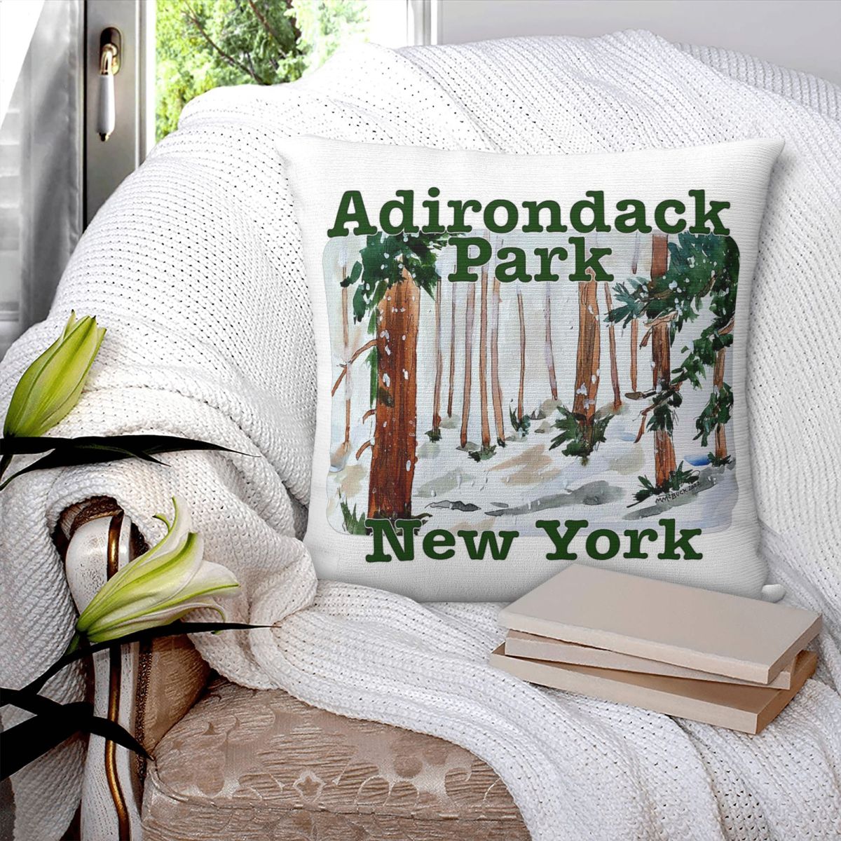 Adirondack Park New York Pillo - Home Decor New York recension och pris
